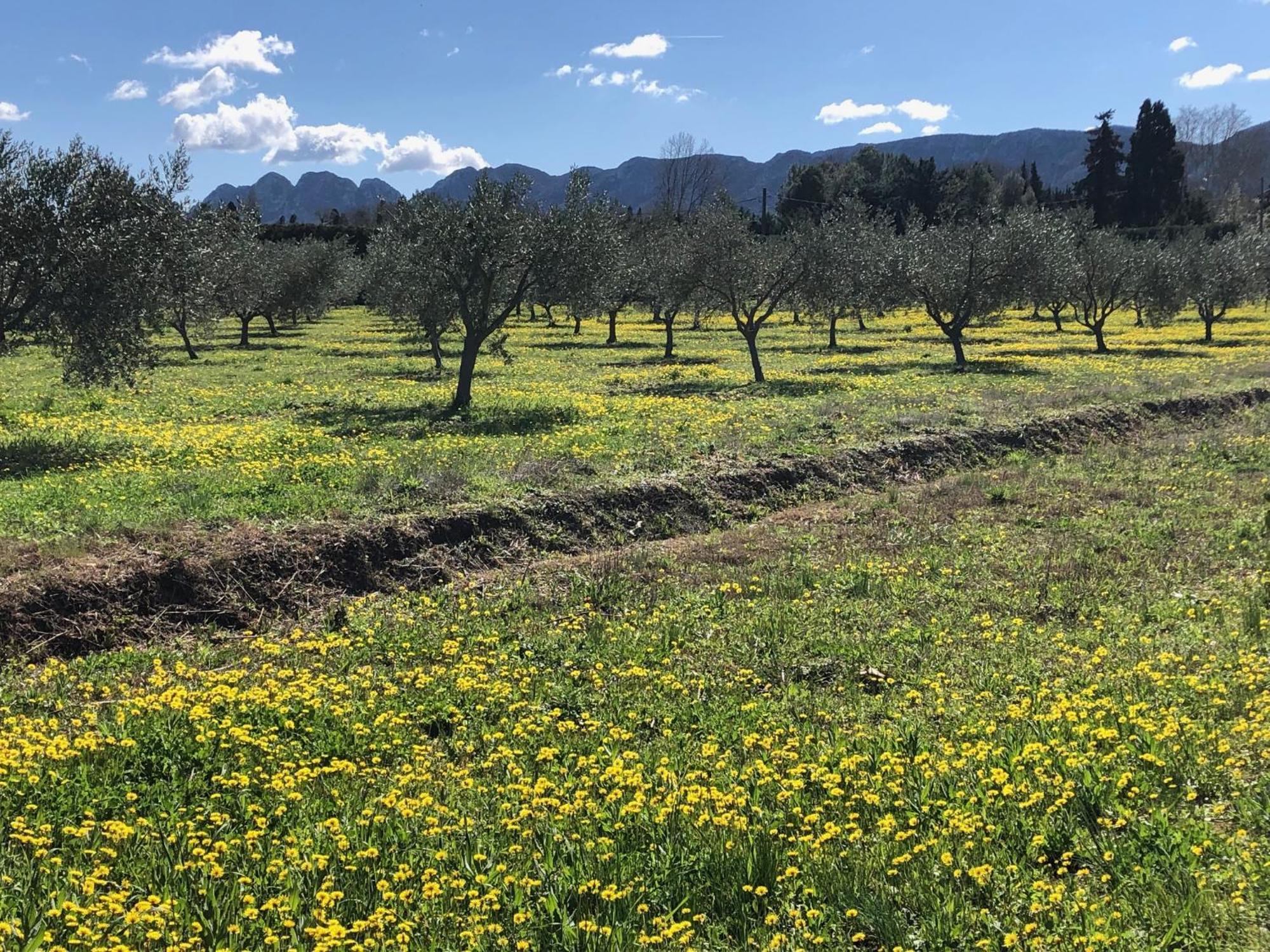 L'oustalet Des Alpilles